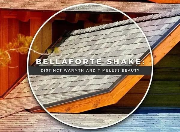 bellaforte-shake-distinct-warmth-and-timeless-beauty_60689b067f5da.webp