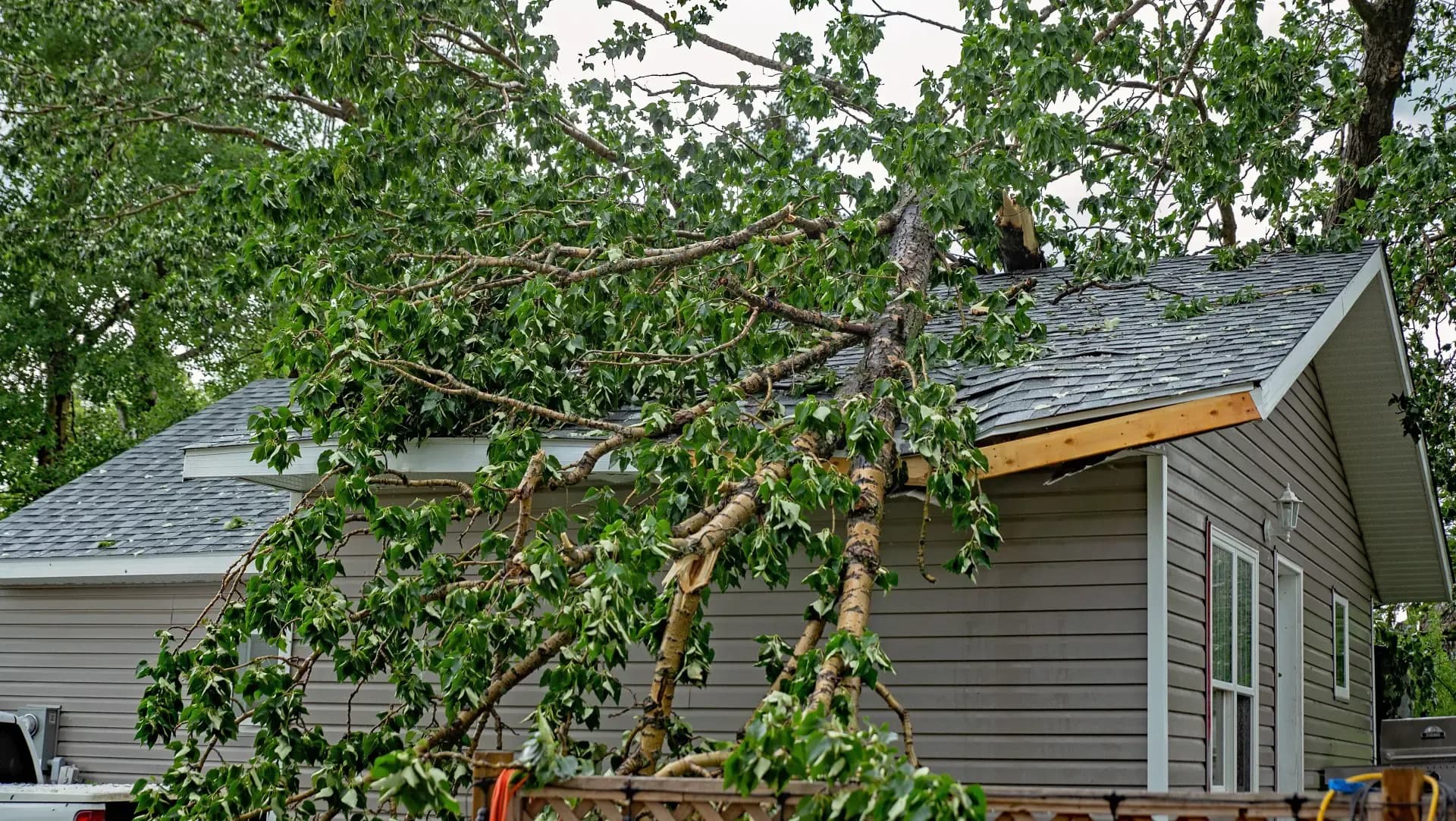 need-your-roof-replaced-heres-how-to-avoid-storm-chasers-01.webp