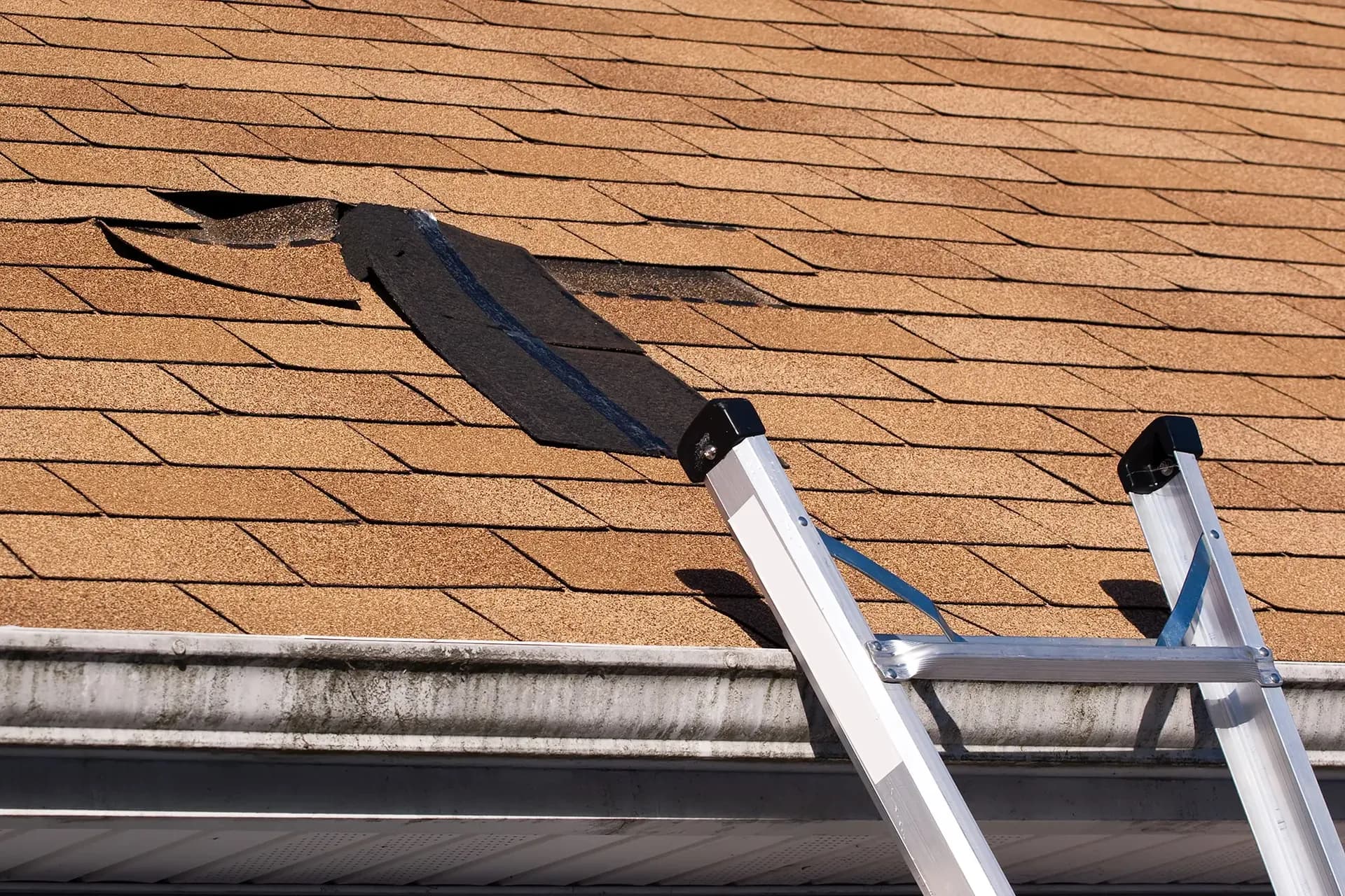 Damaged shingles on a residential roof.