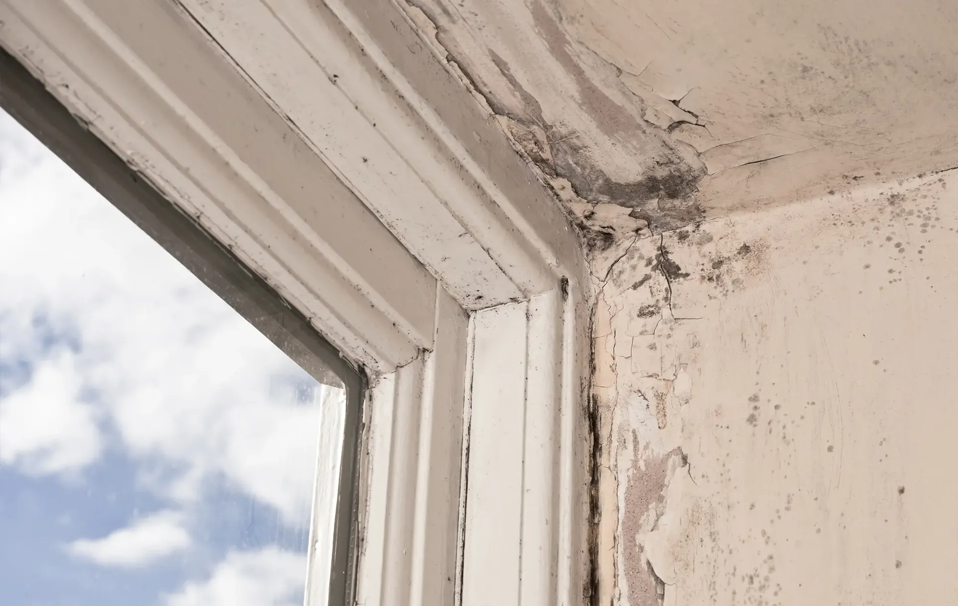 Signs that it's time for new windows.