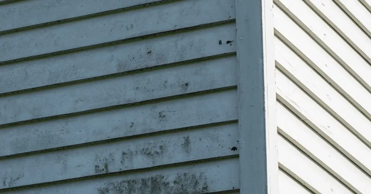 signs-your-siding-has-water-damage-and-what-to-do-about-it-AS_345350379.webp